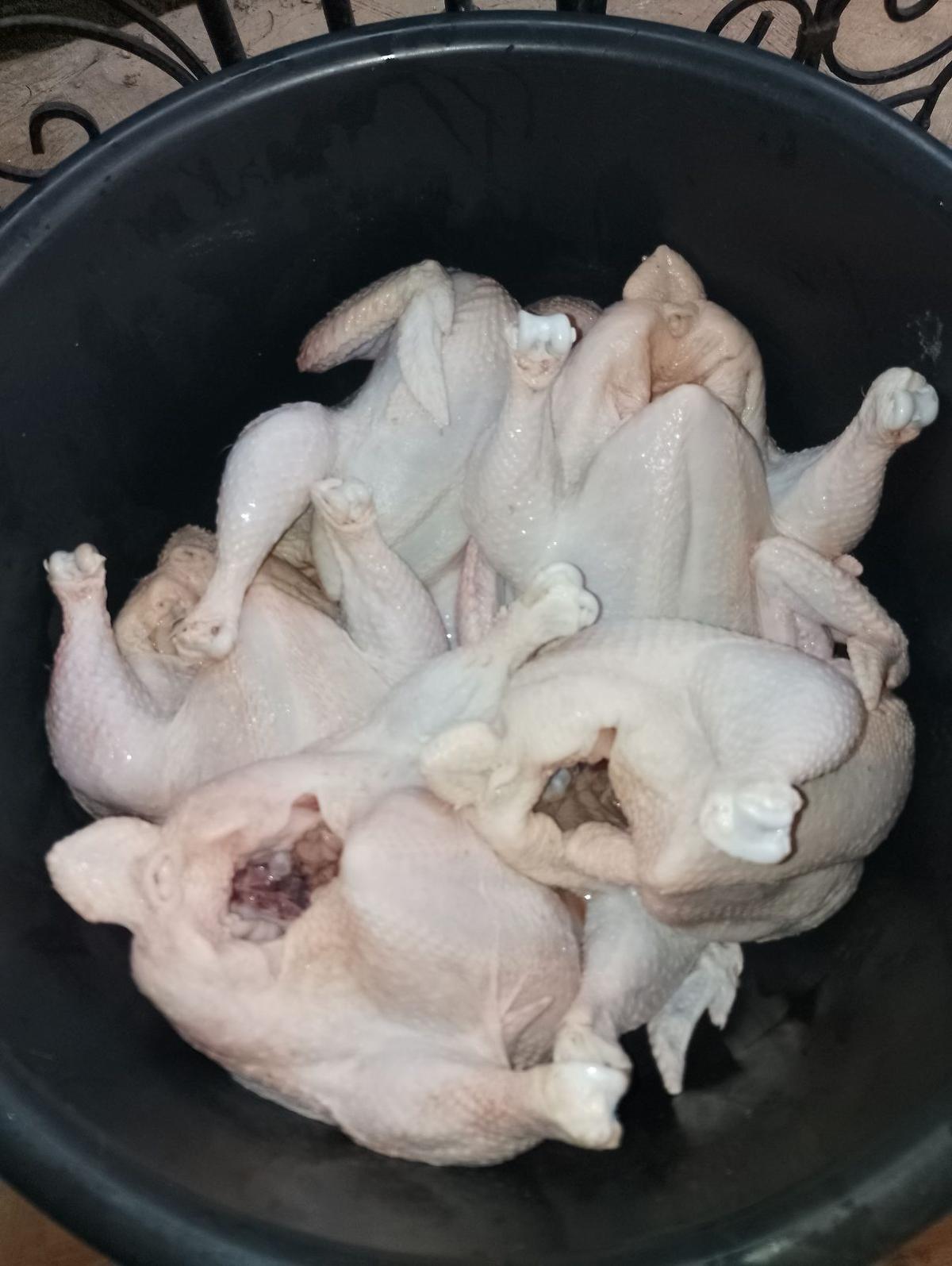Fresh Dressed Chicken.